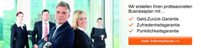 Businessplan von Spezialisten erstellen lassen